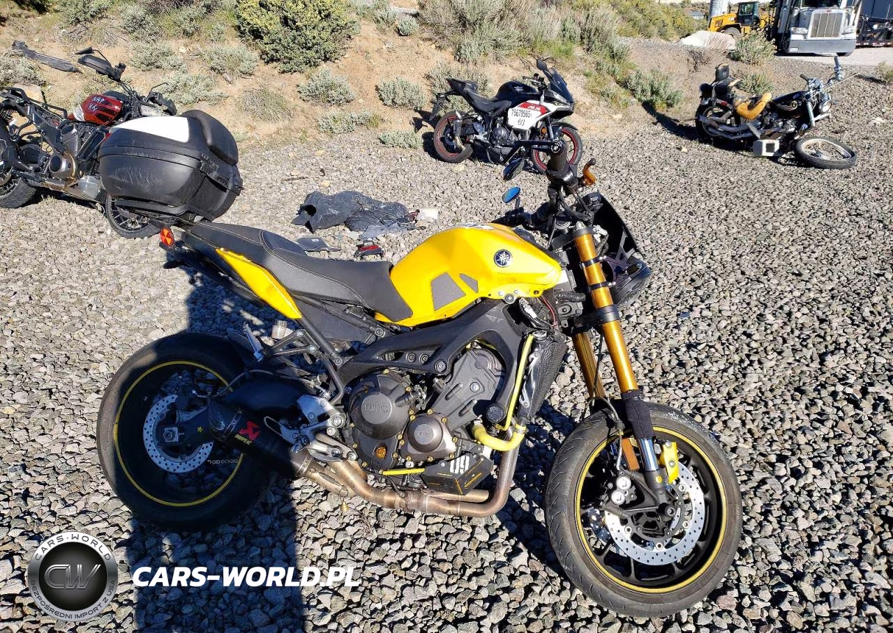 2015 Yamaha Fz09