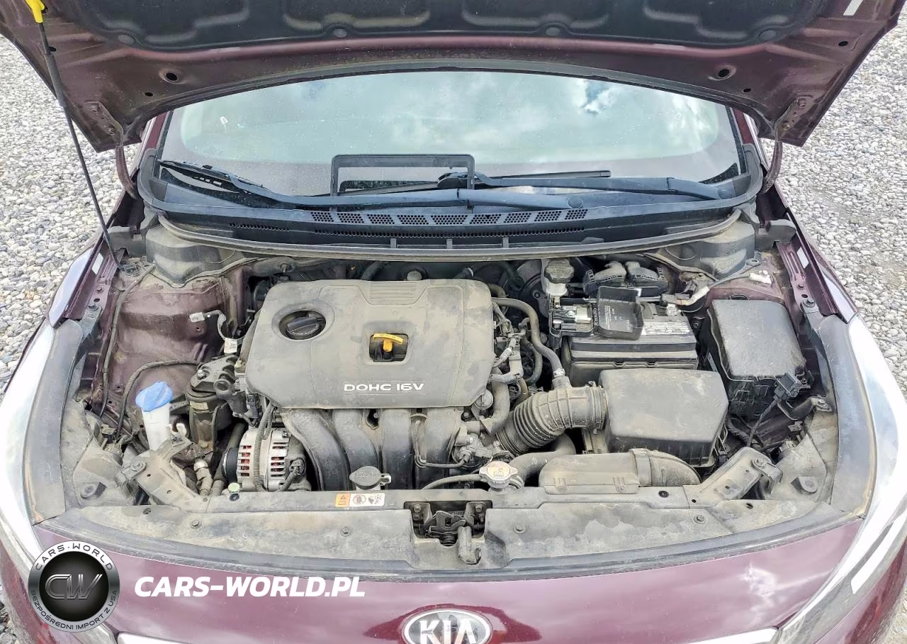2018 Kia Forte Lx VIN:3KPFL4A7XJE253999 - 11