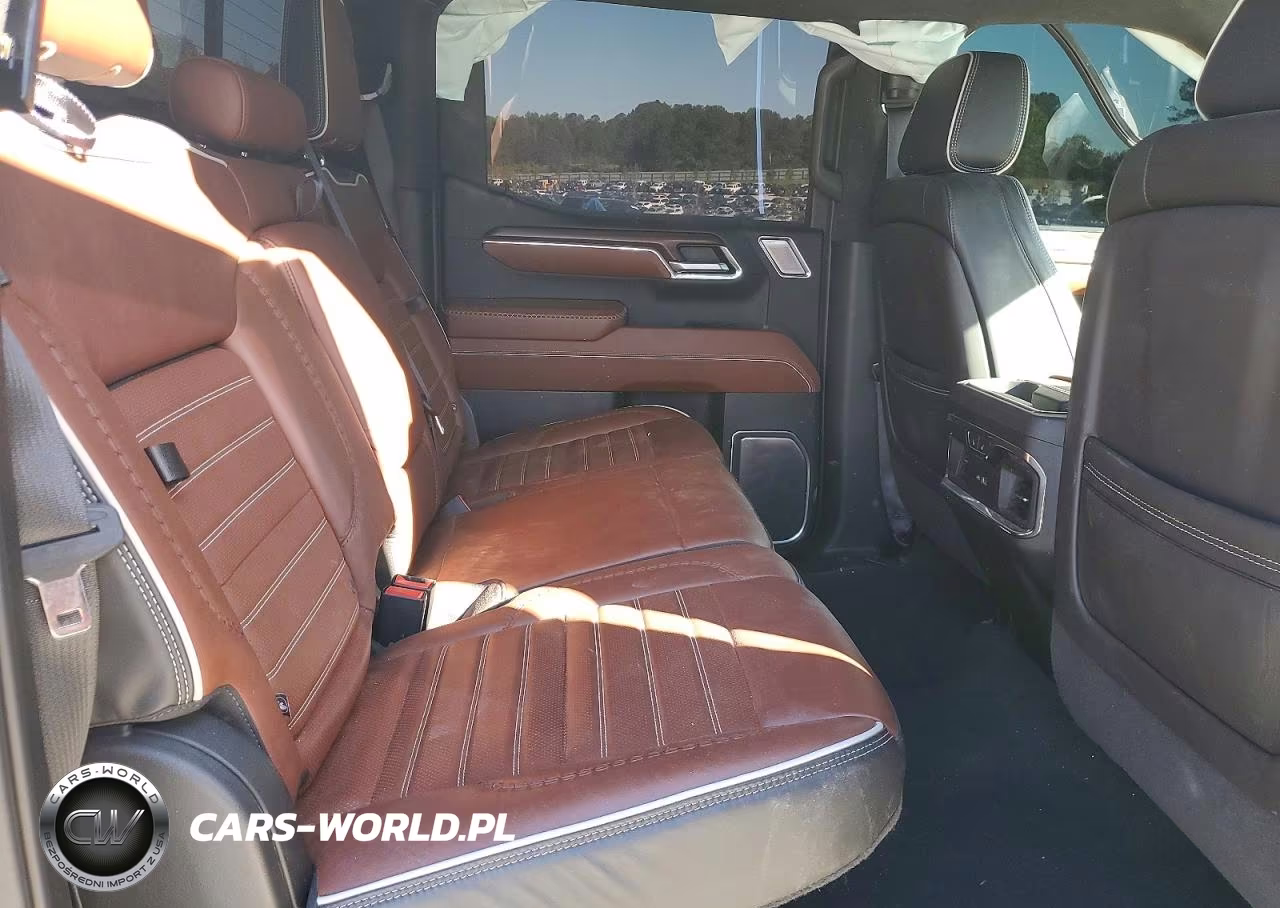 2023 GMC Sierra K1500 Denali Ultimate VIN:1GTUUHEL1PZ138479 - 10