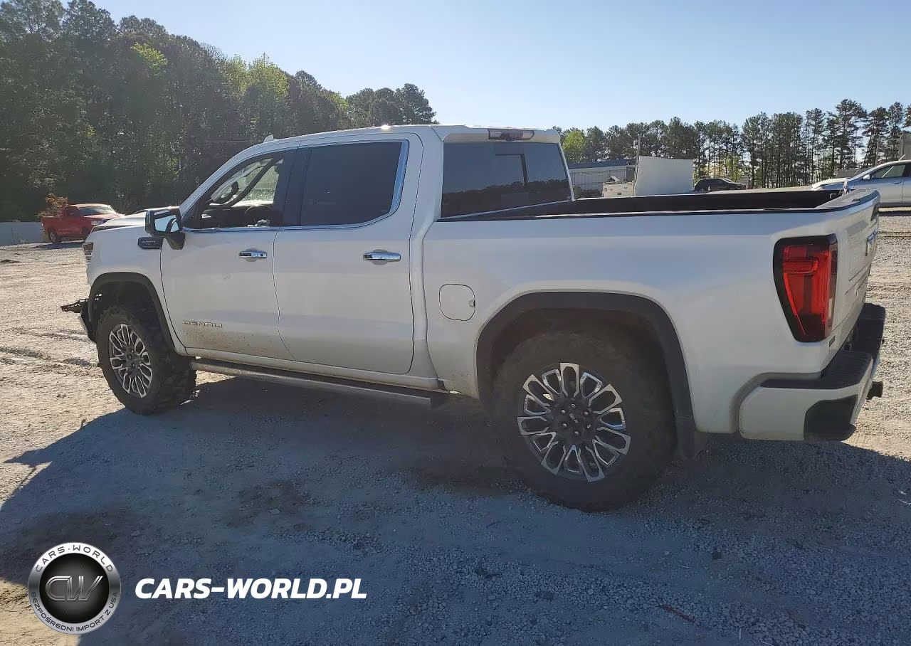 2023 GMC Sierra K1500 Denali Ultimate VIN:1GTUUHEL1PZ138479 - 2