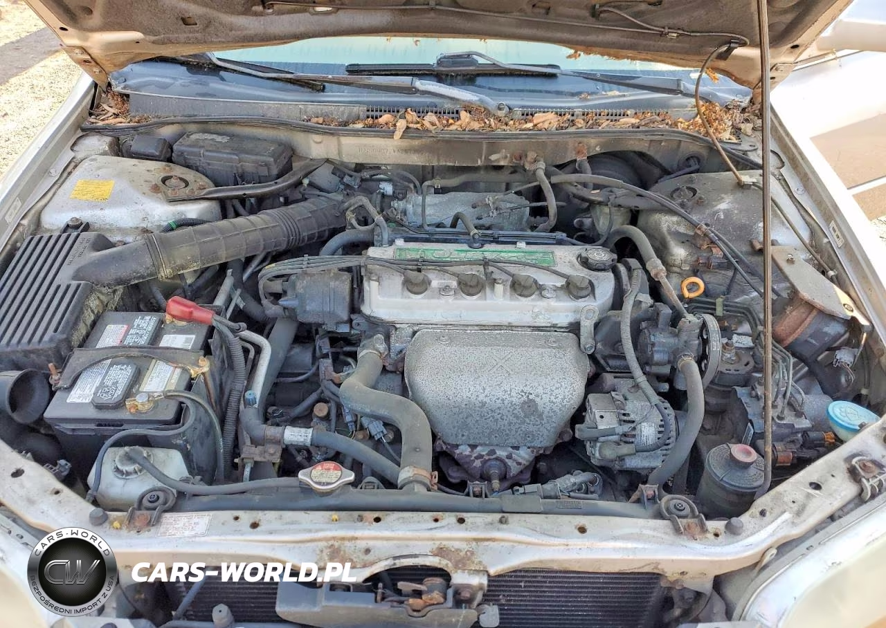 1998 Honda Accord Ex VIN:1HGCG6672WA257360 - 11