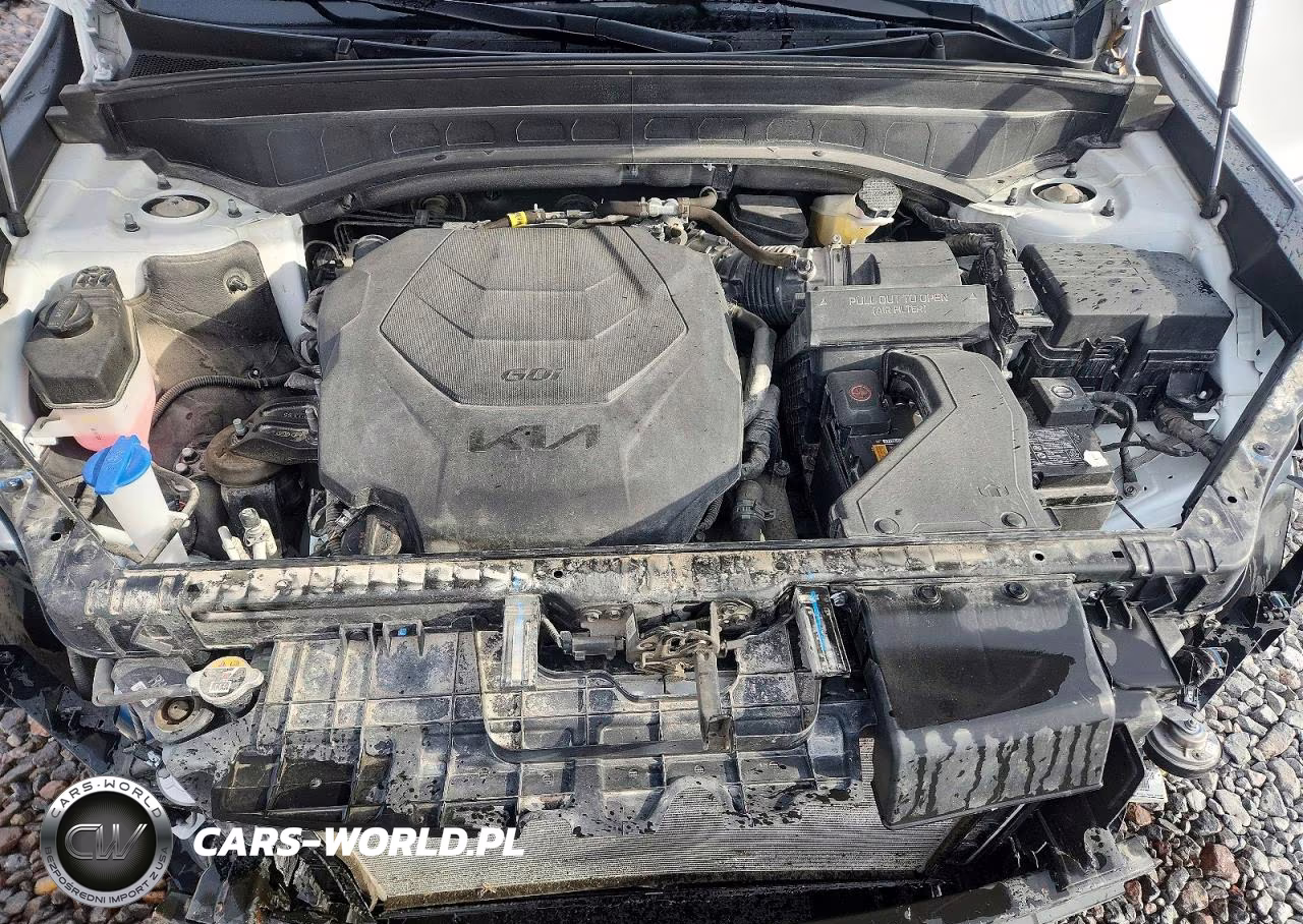 2023 Kia Telluride S VIN:5XYP6DGC4PG393946 - 12