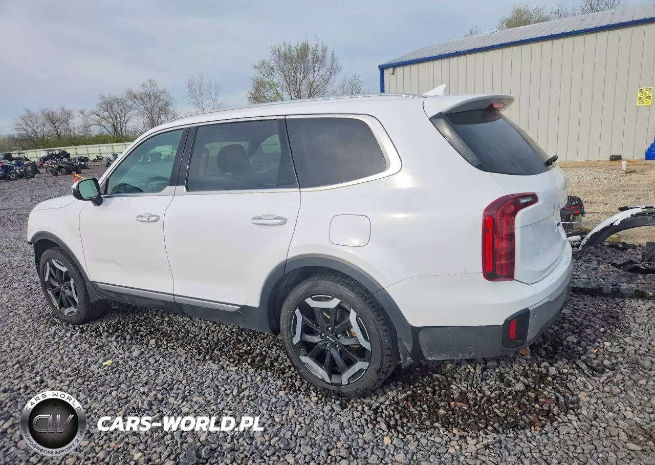 2023 Kia Telluride S VIN:5XYP6DGC4PG393946 - 2