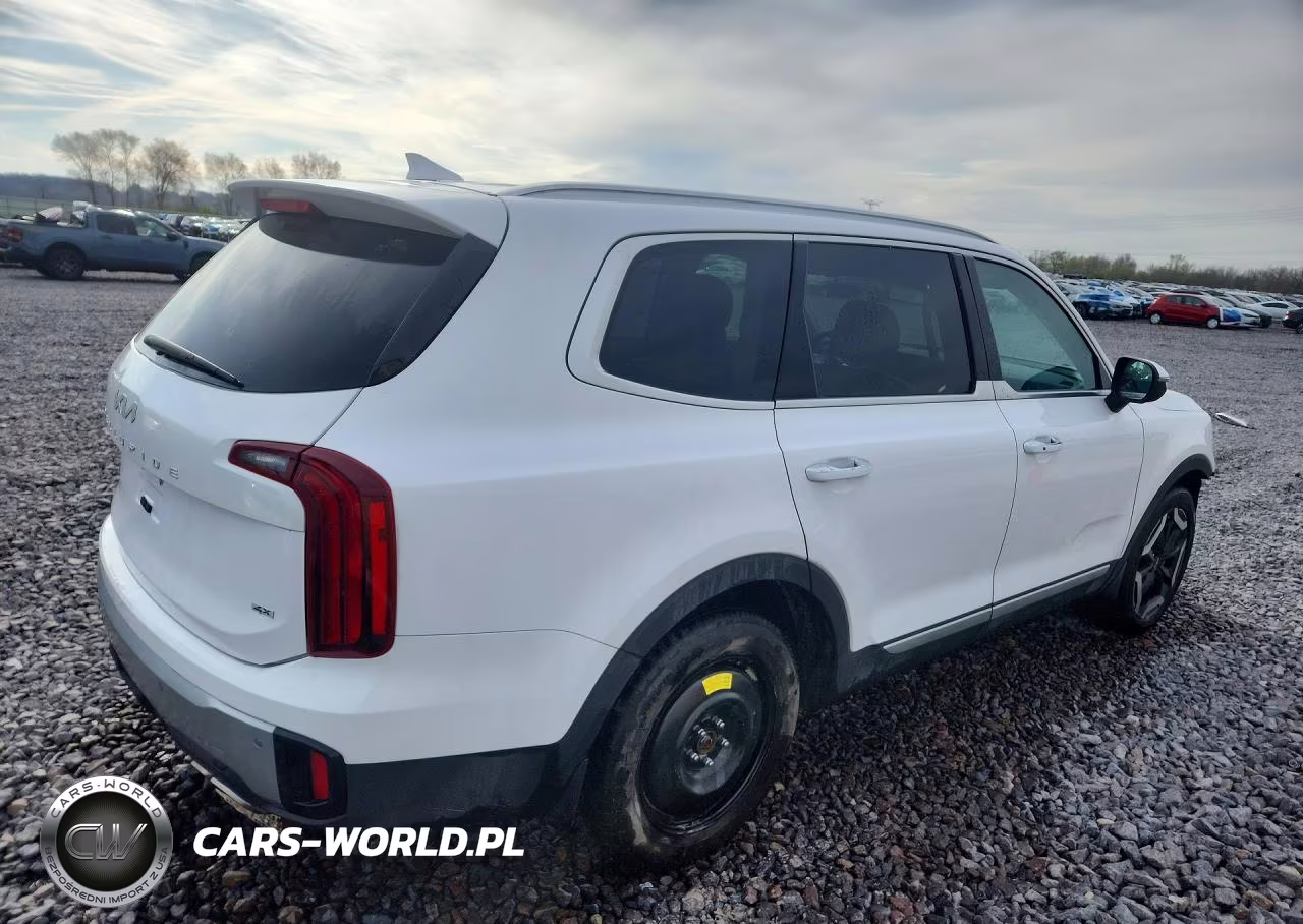 2023 Kia Telluride S VIN:5XYP6DGC4PG393946 - 3