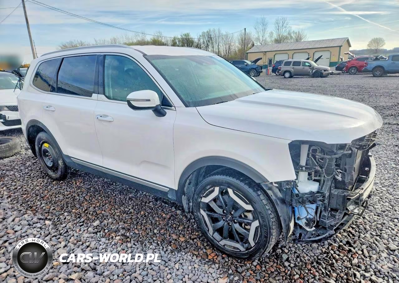 2023 Kia Telluride S VIN:5XYP6DGC4PG393946 - 4