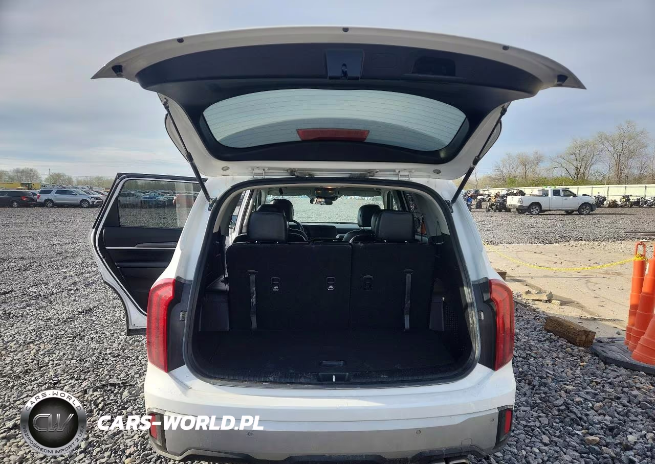 2023 Kia Telluride S VIN:5XYP6DGC4PG393946 - 6