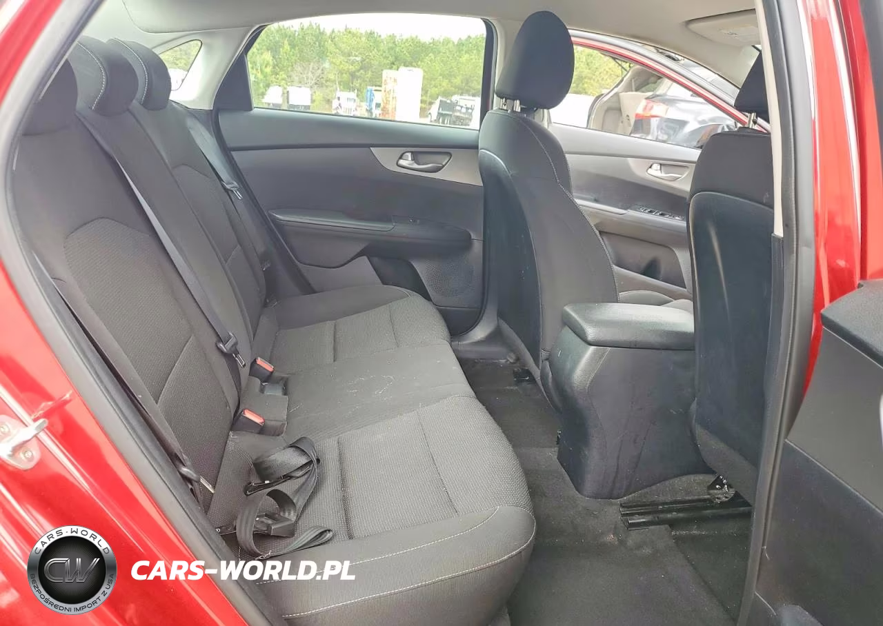 2019 Kia Forte Lxs VIN:3KPF24AD1KE007031 - 10
