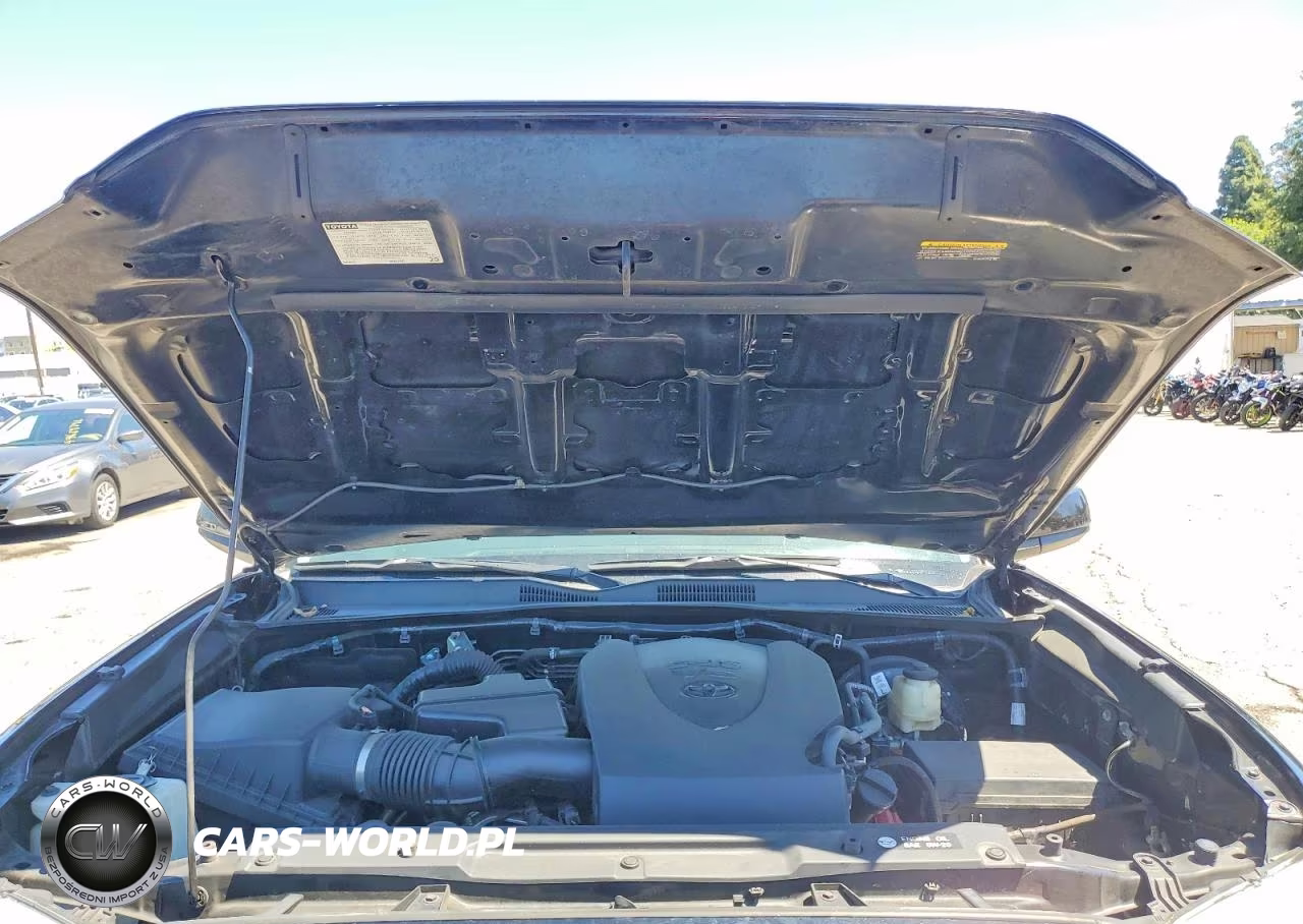2017 Toyota Tacoma Sr5 V6 VIN:5TFBZ5DN6HX003621 - 11