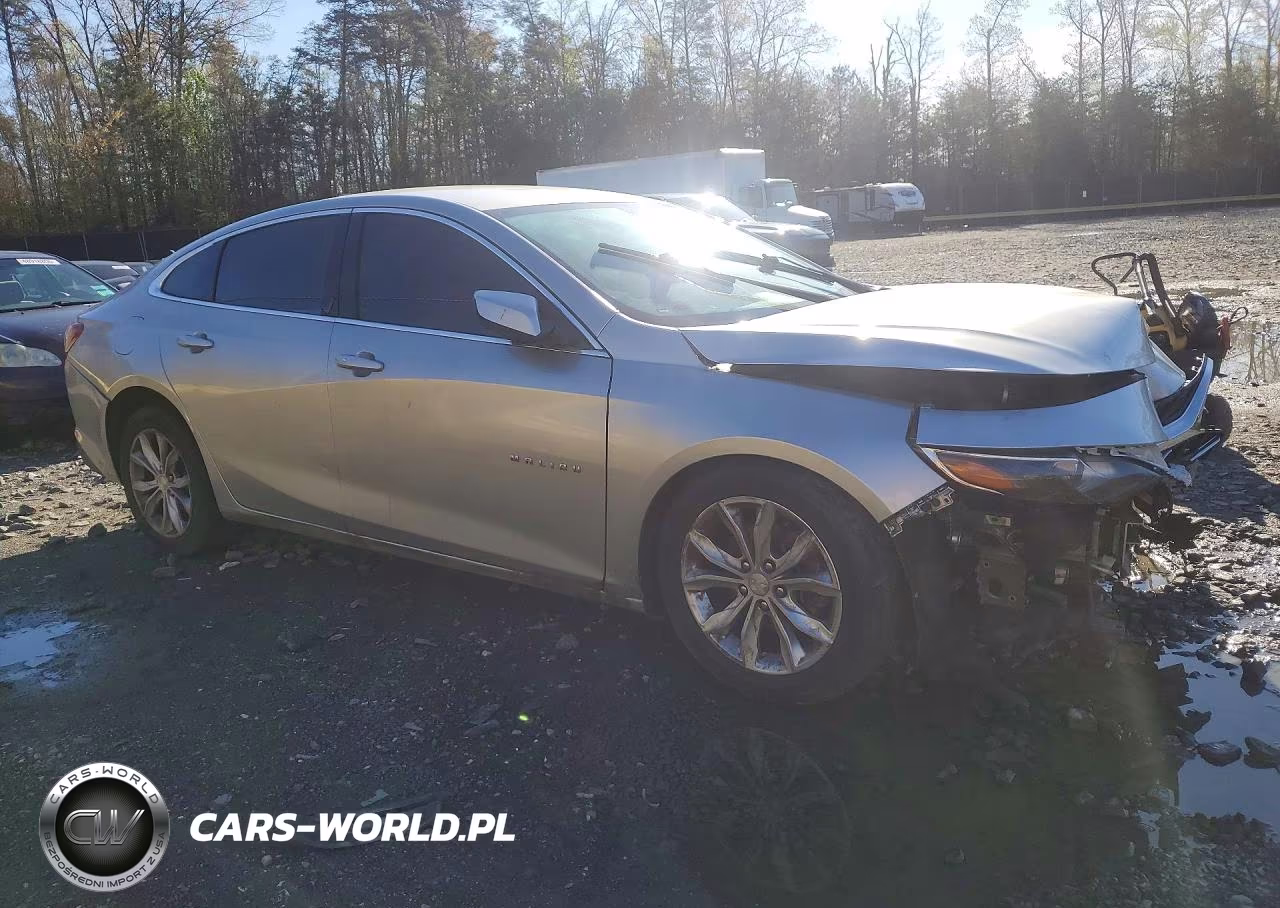 2019 Chevrolet Malibu Lt VIN:1G1ZD5ST2KF227473 - 4