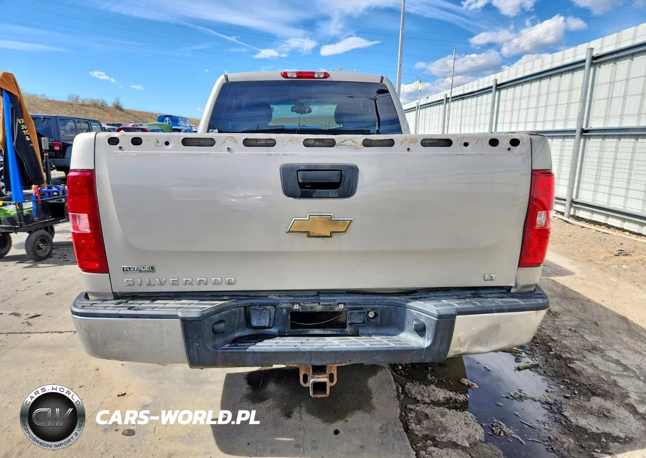 2009 Chevrolet Silverado K1500 Lt VIN:1GCEK29019Z171590 - 6
