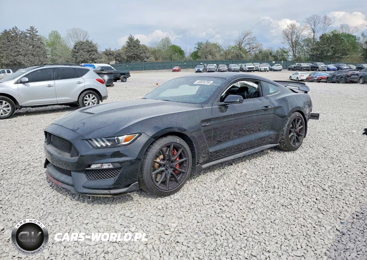 2019 Ford Mustang Shelby Gt350