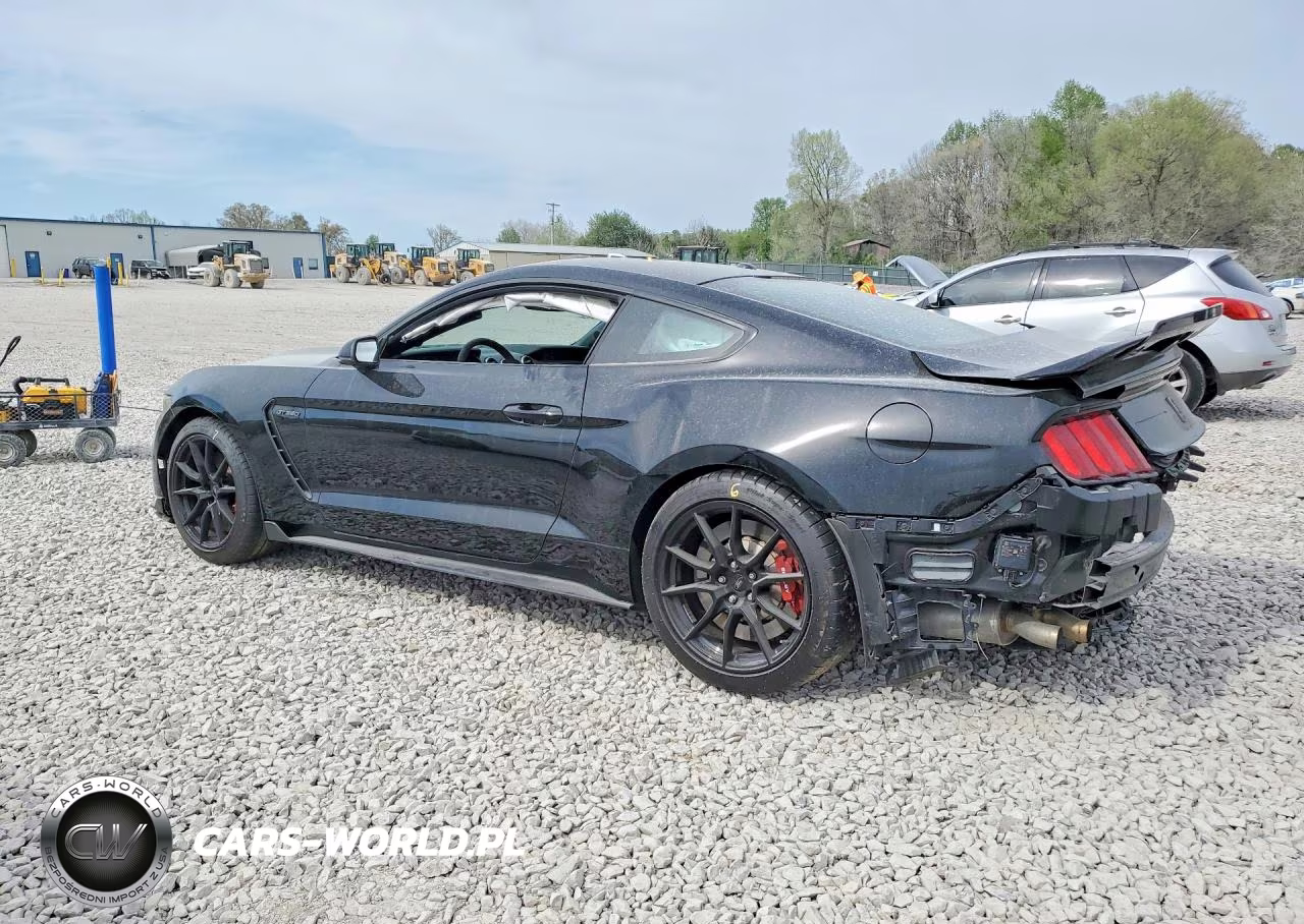 2019 Ford Mustang Shelby Gt350 VIN:1FA6P8JZ3K5552718 - 2