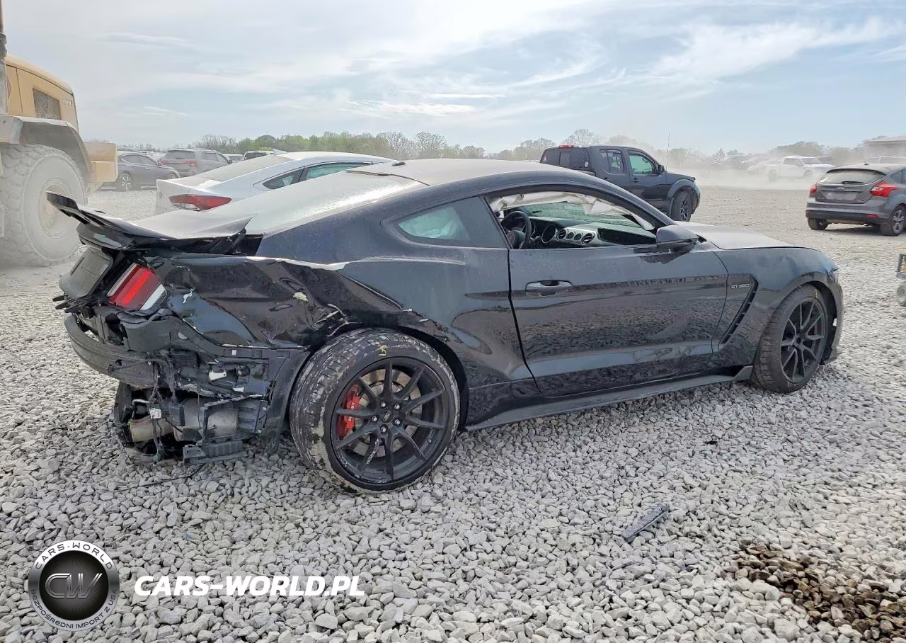 2019 Ford Mustang Shelby Gt350 VIN:1FA6P8JZ3K5552718 - 3