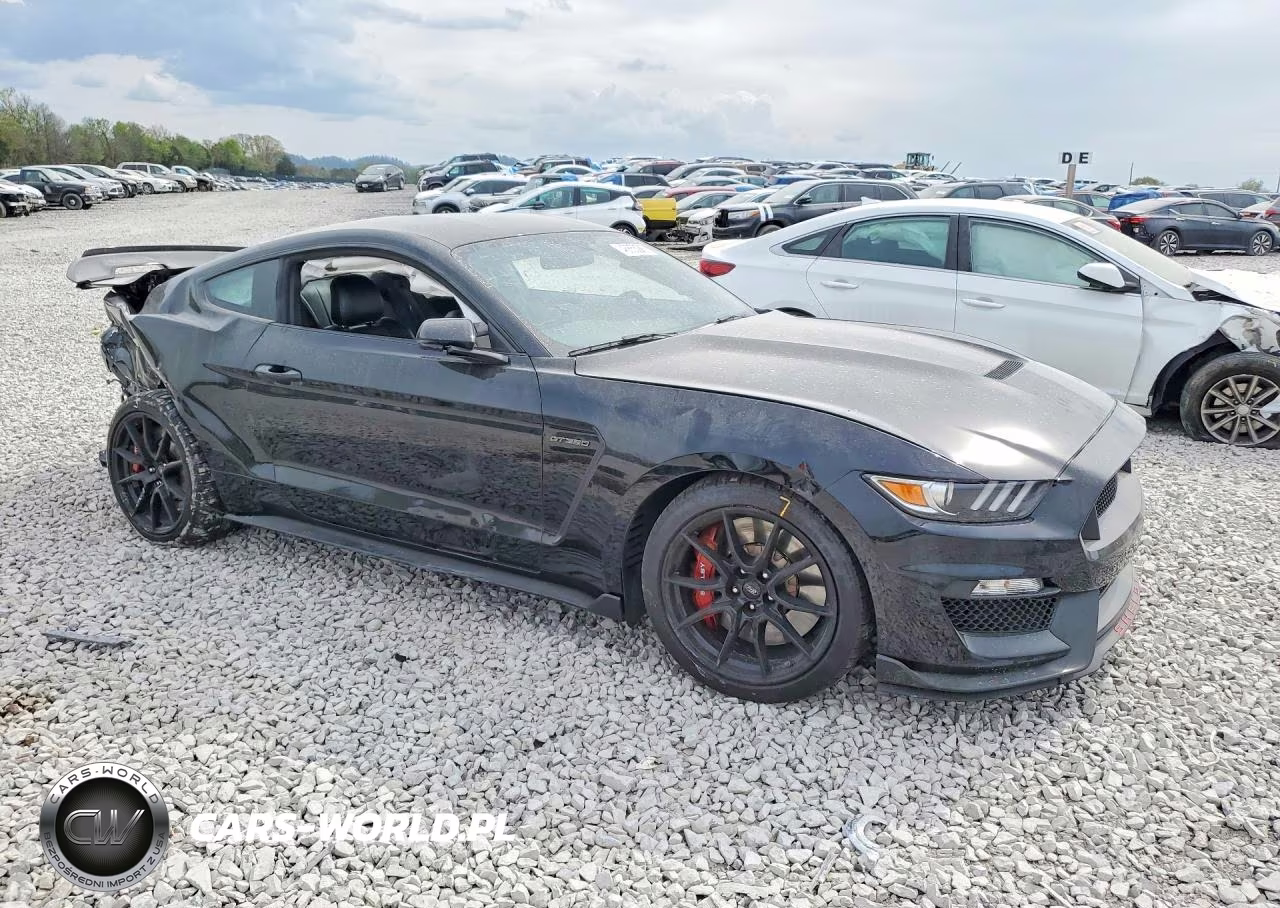 2019 Ford Mustang Shelby Gt350 VIN:1FA6P8JZ3K5552718 - 4