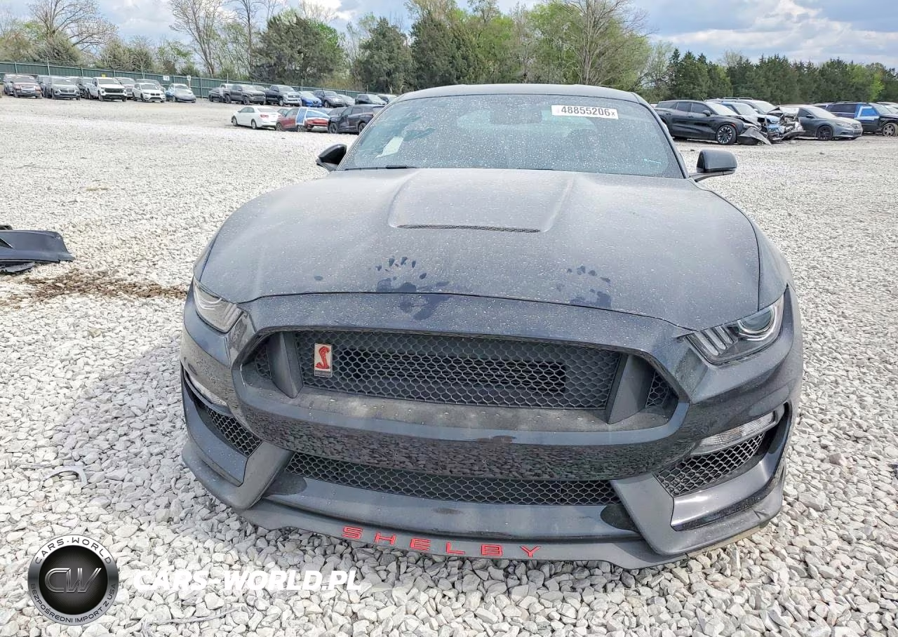 2019 Ford Mustang Shelby Gt350 VIN:1FA6P8JZ3K5552718 - 5