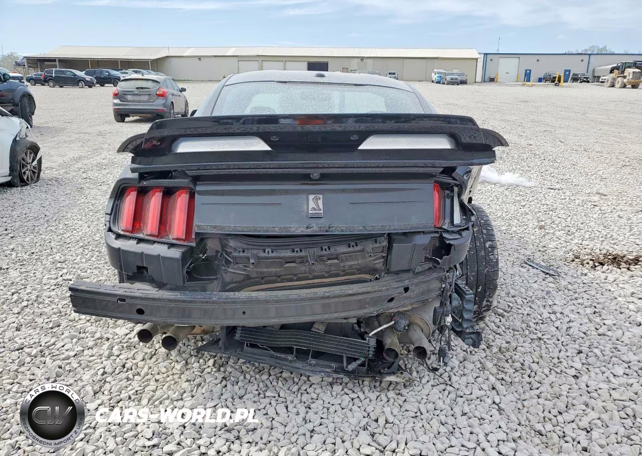 2019 Ford Mustang Shelby Gt350 VIN:1FA6P8JZ3K5552718 - 6