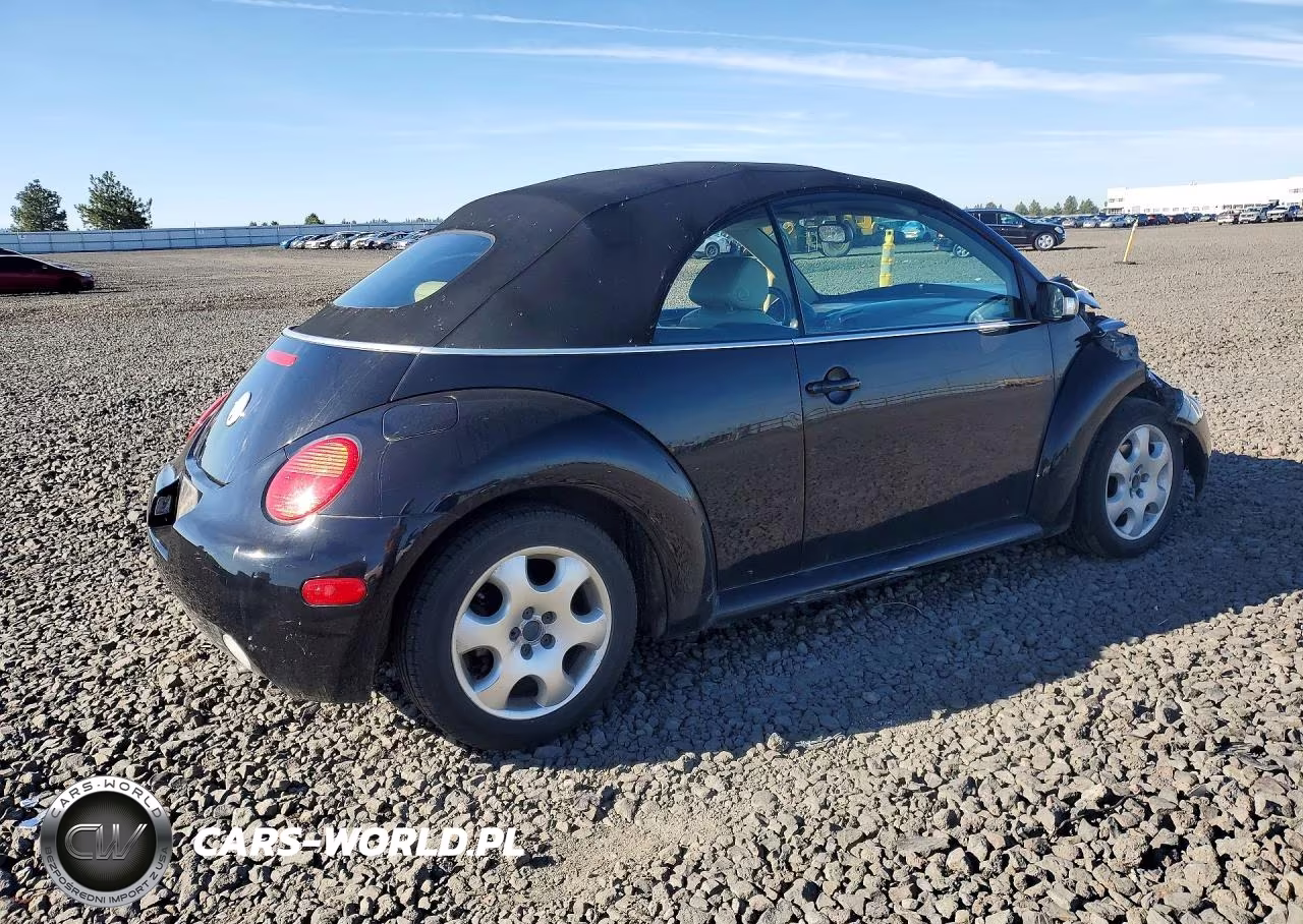 2003 Volkswagen New Beetle Gls VIN:3VWCK21YX3M317841 - 3