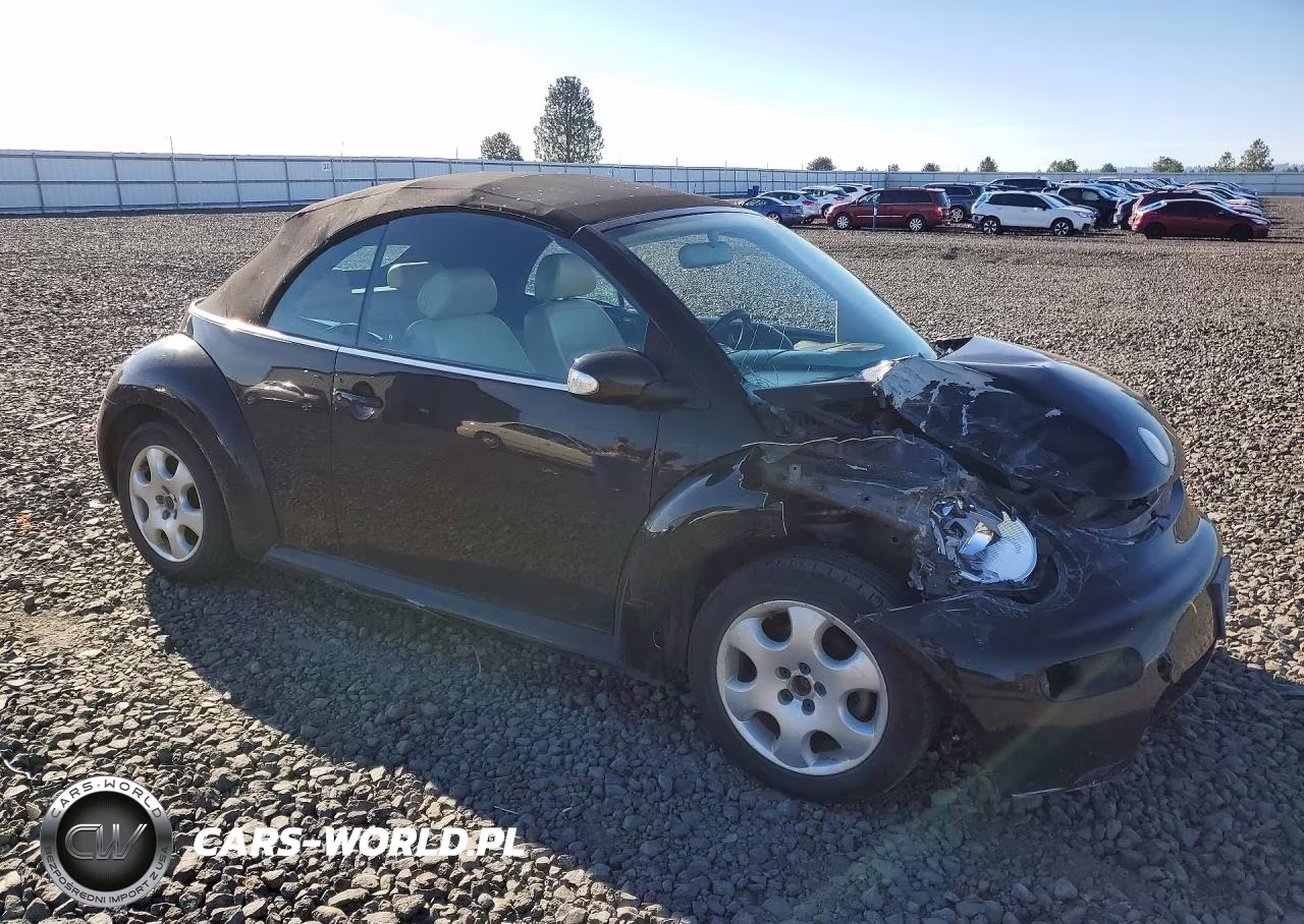 2003 Volkswagen New Beetle Gls VIN:3VWCK21YX3M317841 - 4