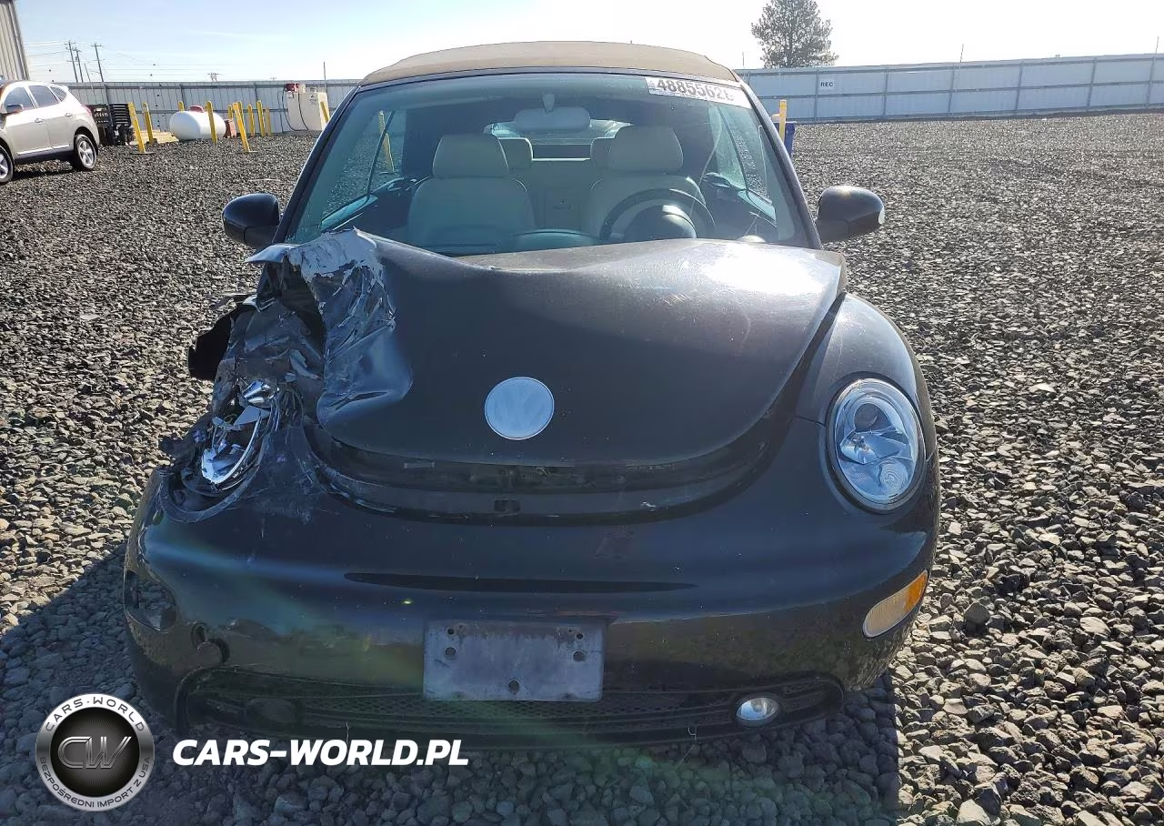 2003 Volkswagen New Beetle Gls VIN:3VWCK21YX3M317841 - 5