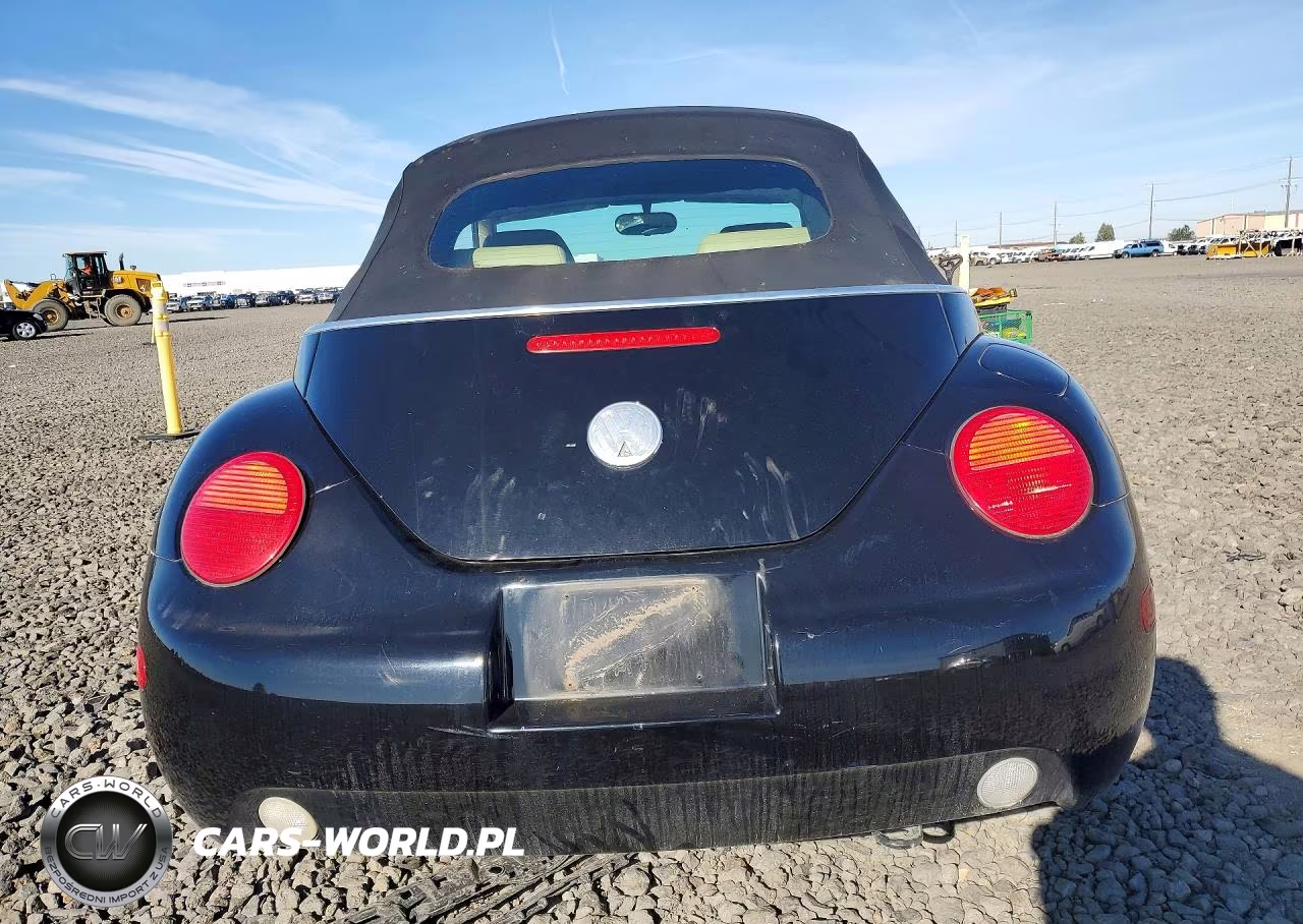 2003 Volkswagen New Beetle Gls VIN:3VWCK21YX3M317841 - 6
