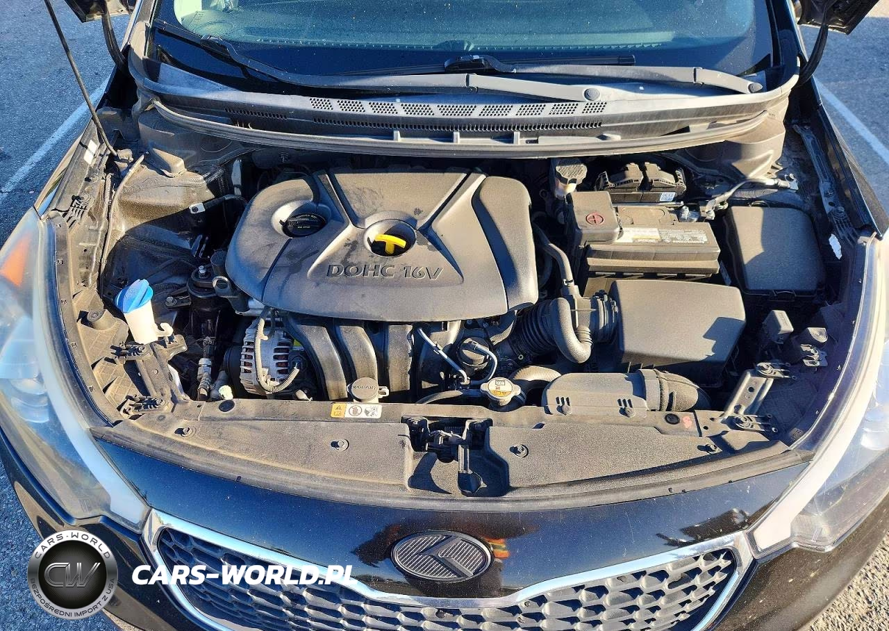 2016 Kia Forte Lx VIN:KNAFK4A62G5550552 - 11