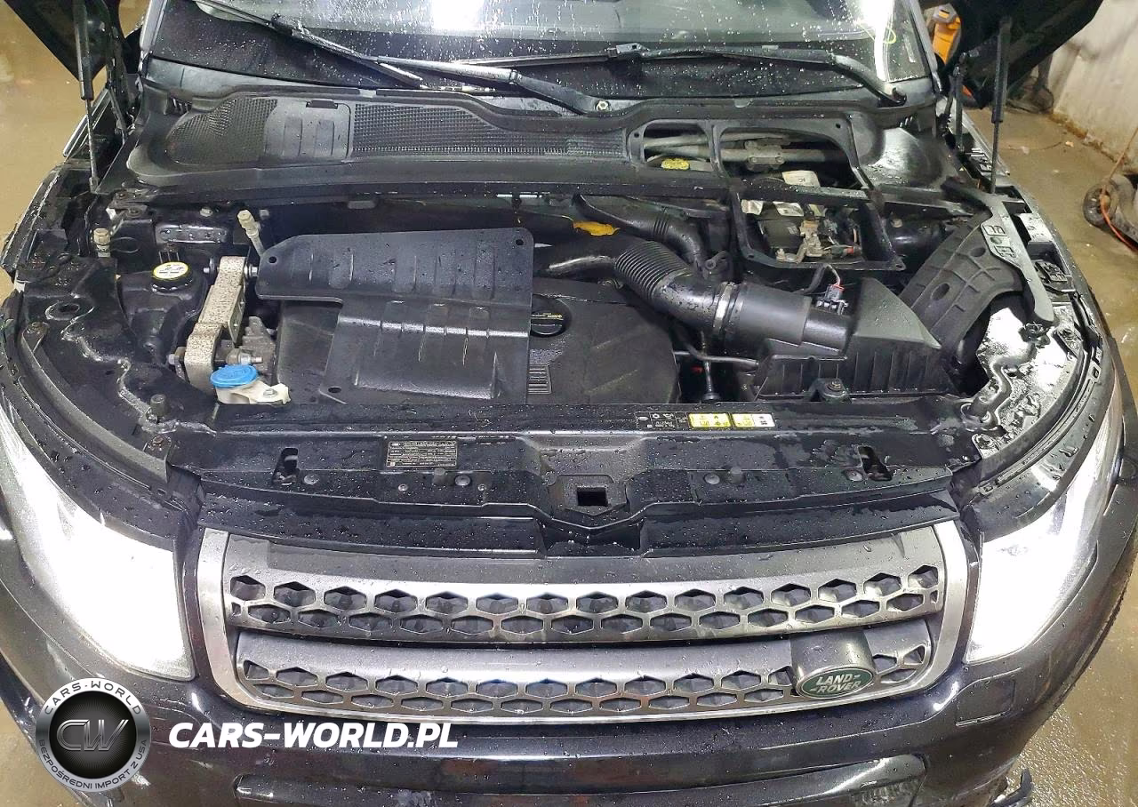 2016 Land Rover Range Rover Evoque Se VIN:SALVP2BG2GH083958 - 11