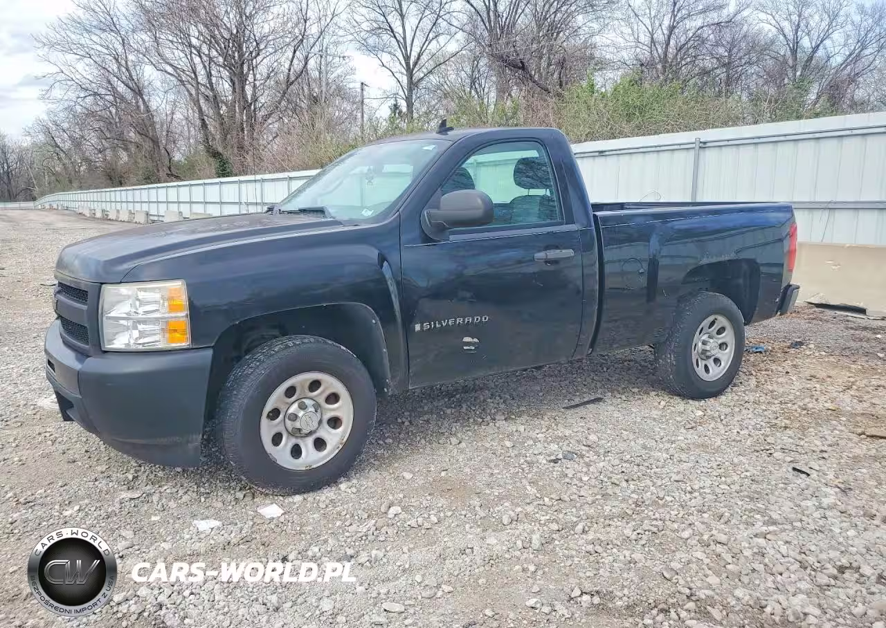 2009 Chevrolet Silverado C1500