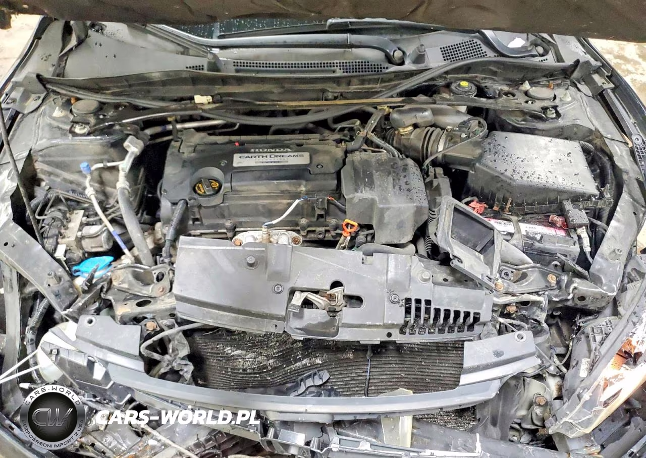 2013 Honda Accord Exl VIN:1HGCR2F84DA033113 - 11