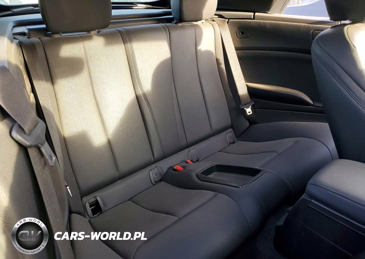 2019 BMW 230I VIN:WBA2M7C5XKVD52313 - 10