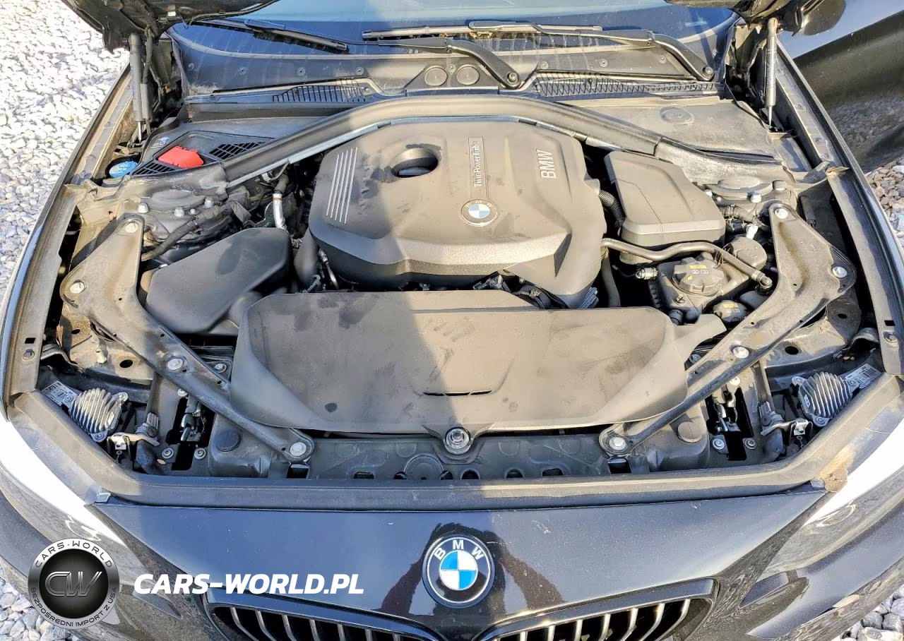 2019 BMW 230I VIN:WBA2M7C5XKVD52313 - 11