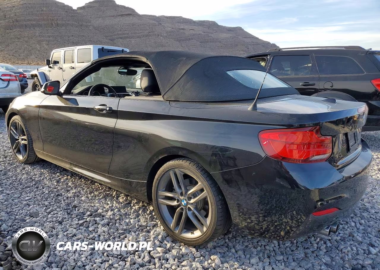 2019 BMW 230I VIN:WBA2M7C5XKVD52313 - 2