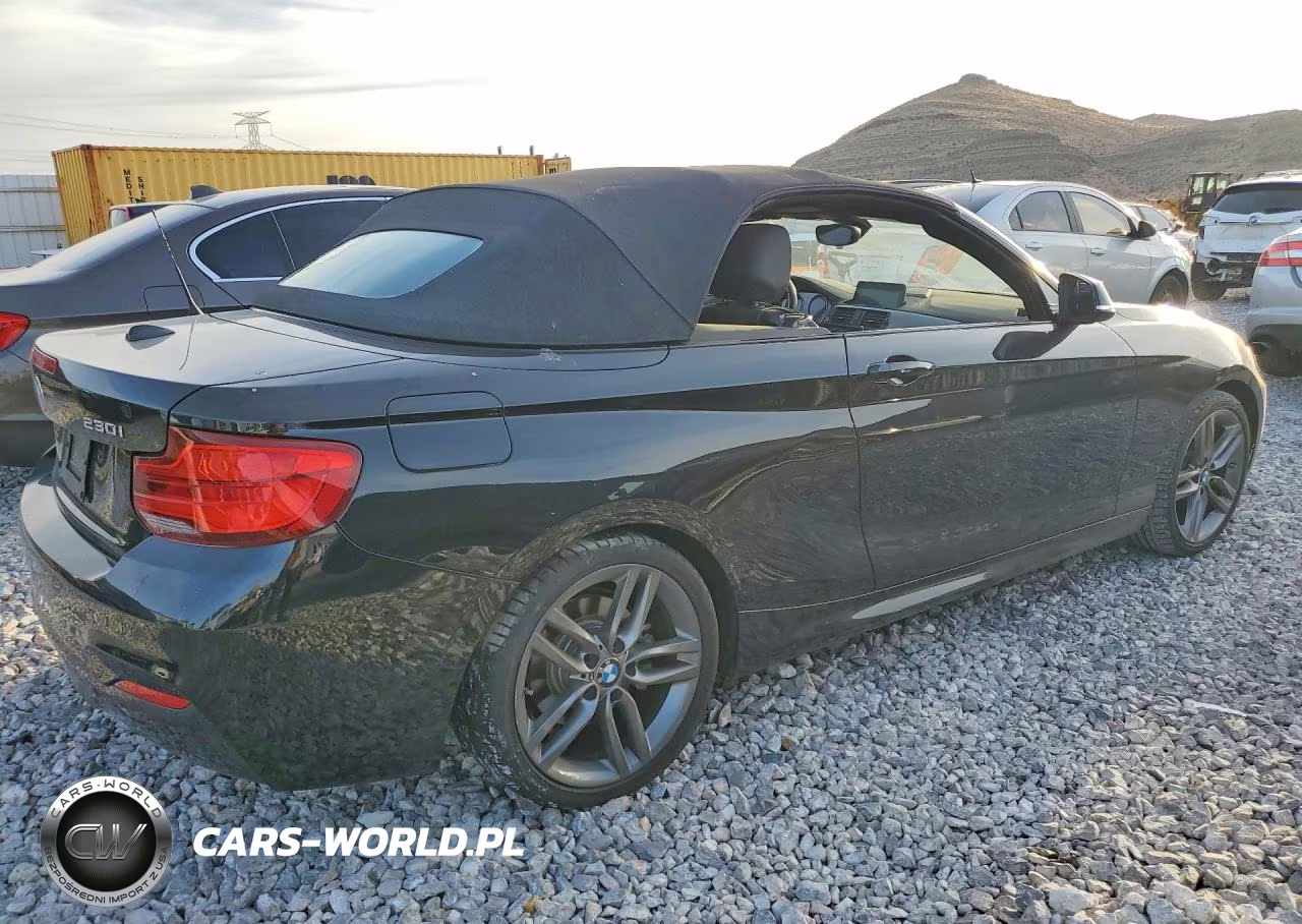 2019 BMW 230I VIN:WBA2M7C5XKVD52313 - 3