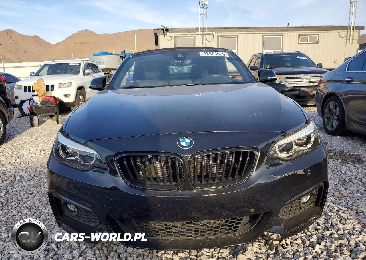 2019 BMW 230I VIN:WBA2M7C5XKVD52313 - 5