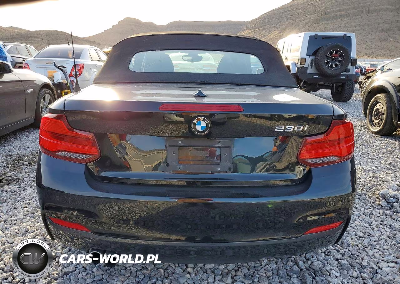 2019 BMW 230I VIN:WBA2M7C5XKVD52313 - 6
