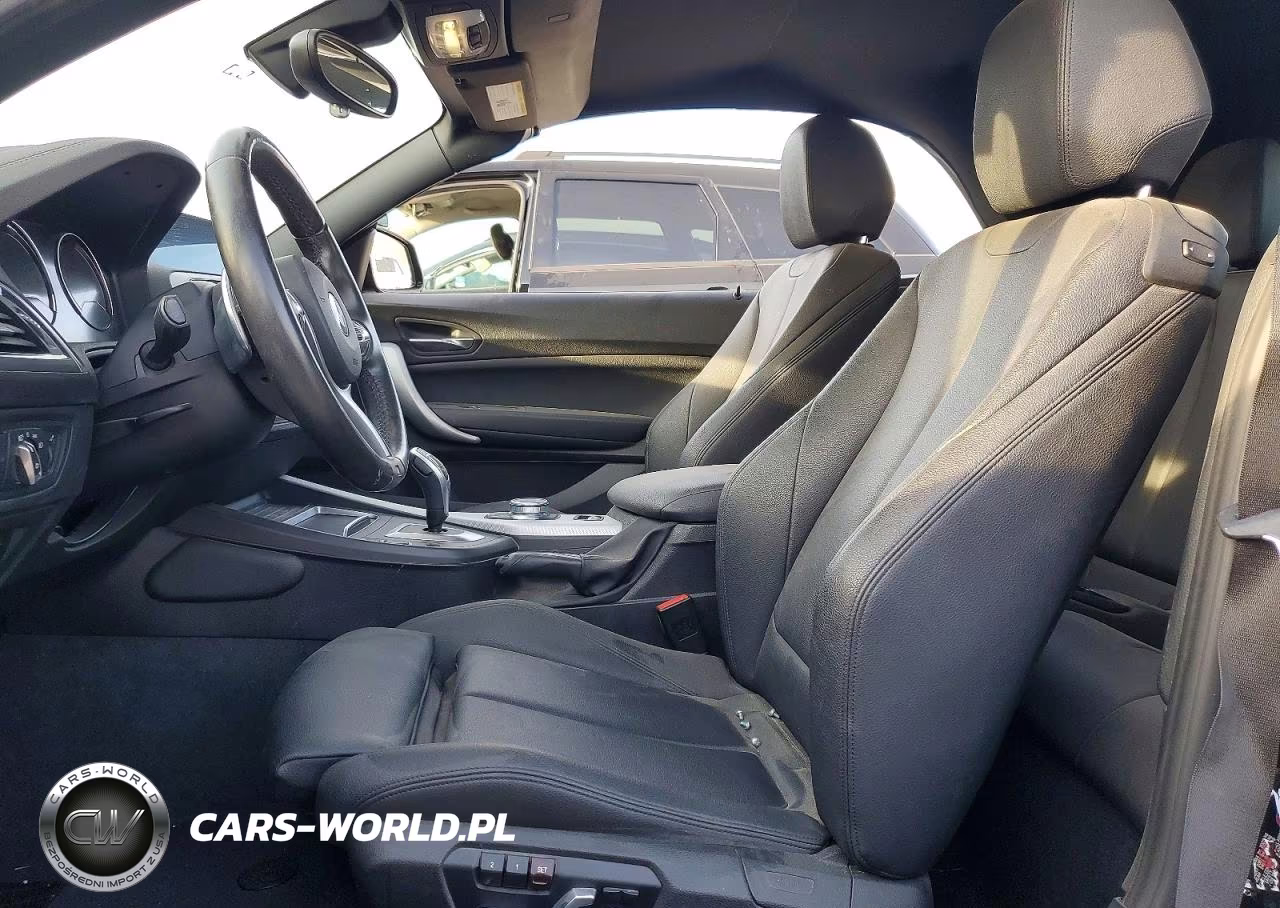 2019 BMW 230I VIN:WBA2M7C5XKVD52313 - 7