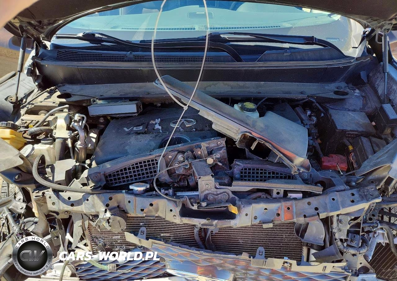 2019 Infiniti Qx60 Luxe VIN:5N1DL0MM0KC502610 - 12