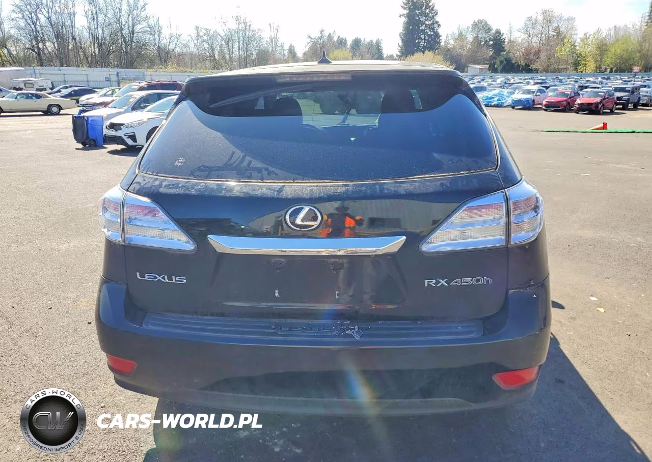 2010 Lexus Rx 450H Base VIN:JTJZB1BA7A2401237 - 6