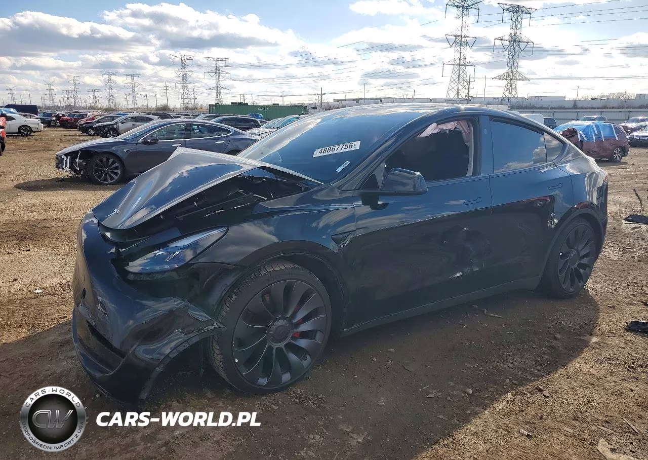 2024 Tesla Model Y