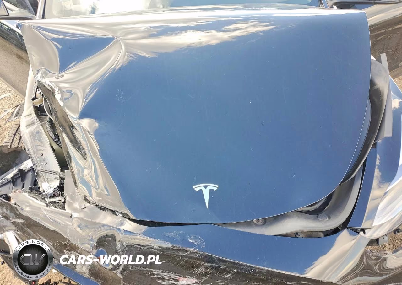 2024 Tesla Model Y VIN:7SAYGDEF7RF036479 - 11