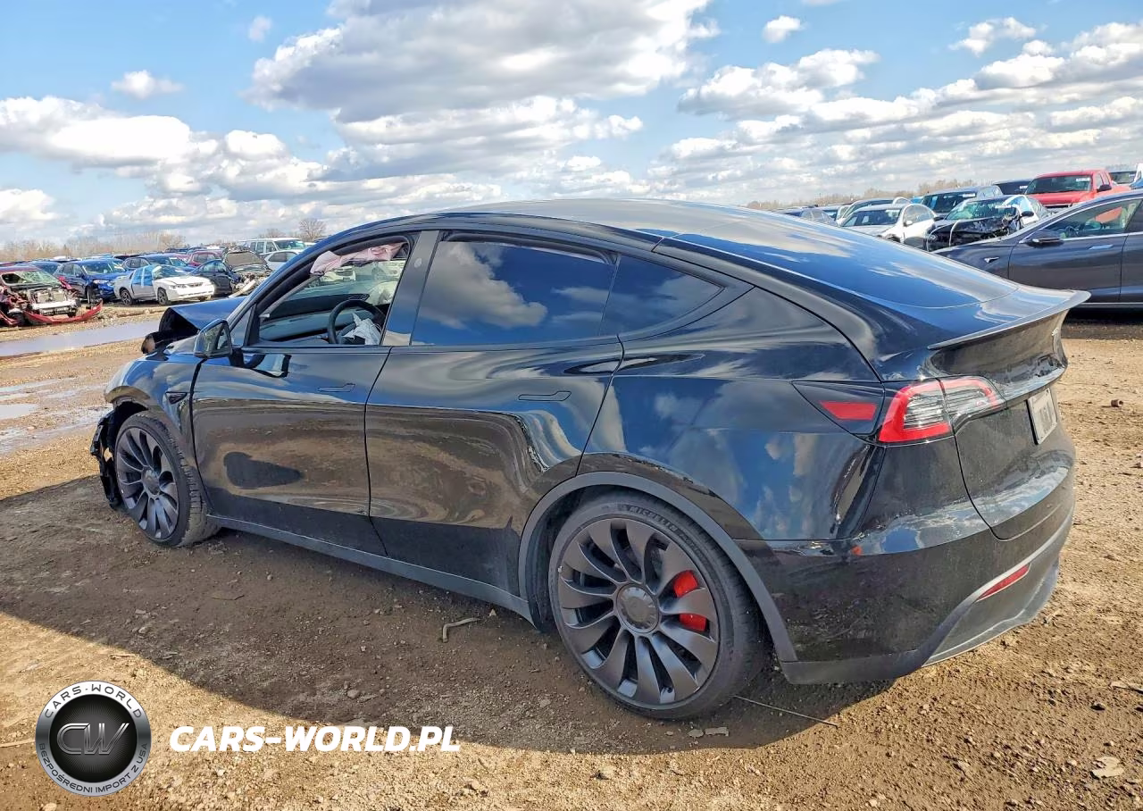 2024 Tesla Model Y VIN:7SAYGDEF7RF036479 - 2