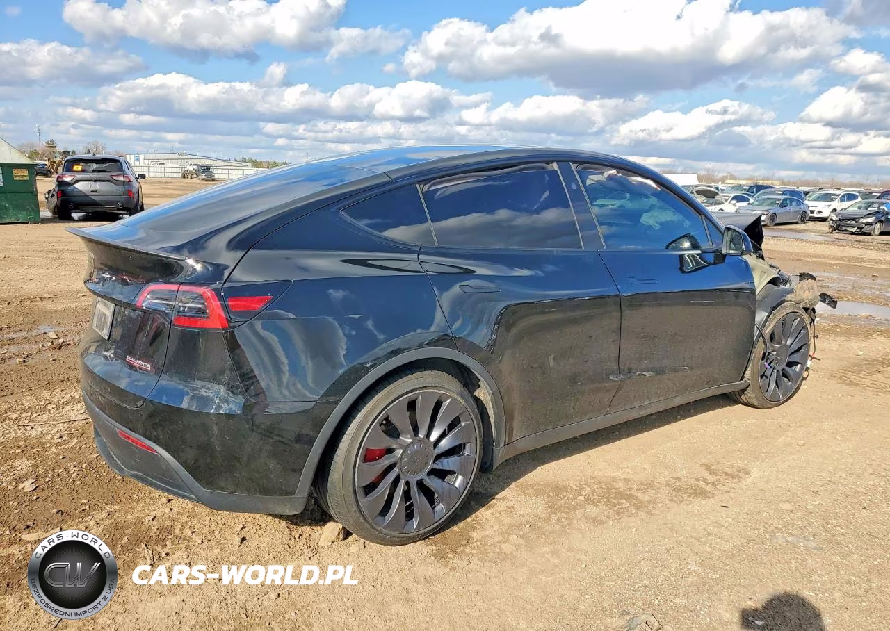 2024 Tesla Model Y VIN:7SAYGDEF7RF036479 - 3