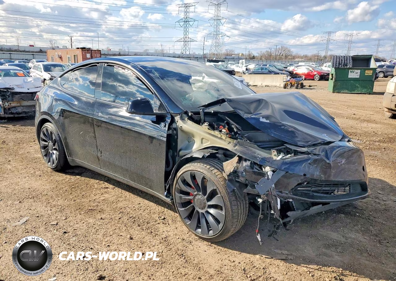 2024 Tesla Model Y VIN:7SAYGDEF7RF036479 - 4