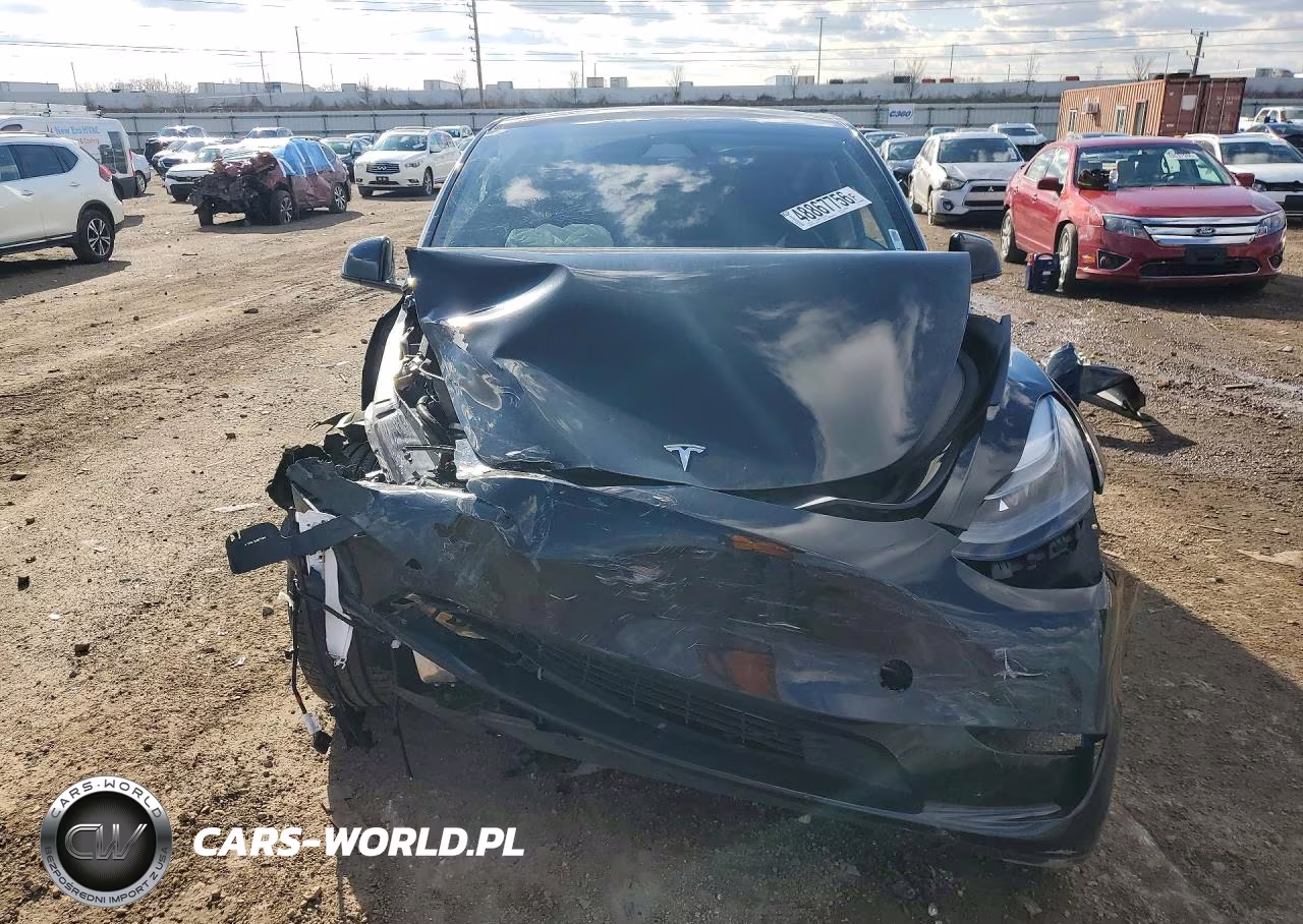 2024 Tesla Model Y VIN:7SAYGDEF7RF036479 - 5