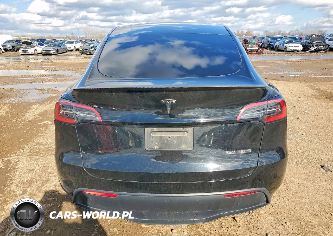 2024 Tesla Model Y VIN:7SAYGDEF7RF036479 - 6