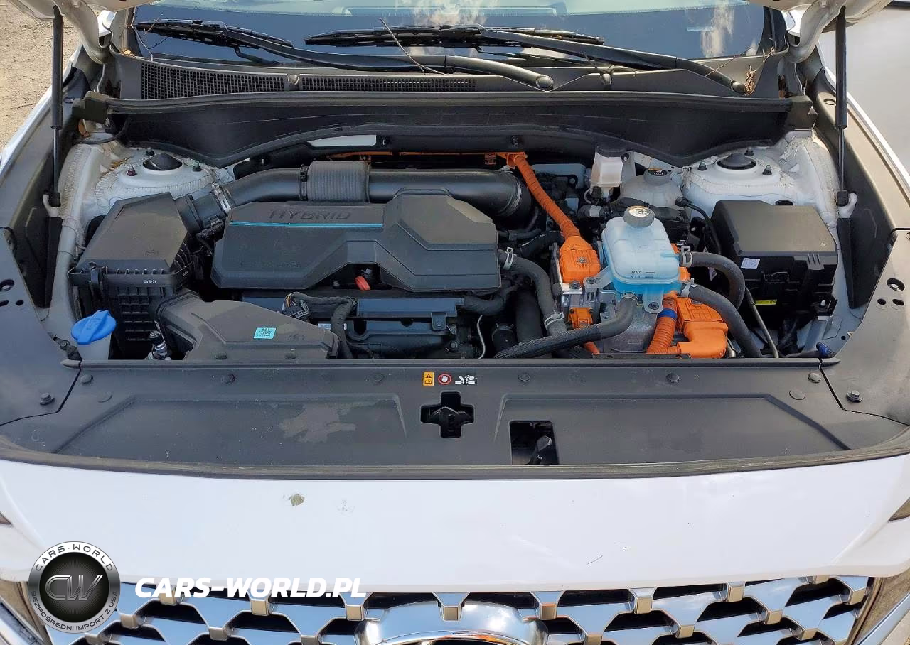 2023 Hyundai Santa Fe Plug-In Hybrid Limited VIN:KM8S7DA2XPU100648 - 12