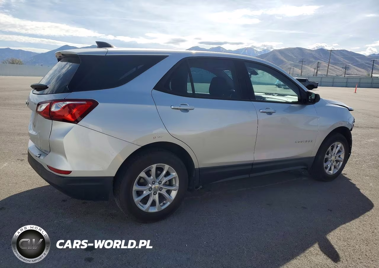 2019 Chevrolet Equinox Ls VIN:3GNAXHEV3KS635297 - 3