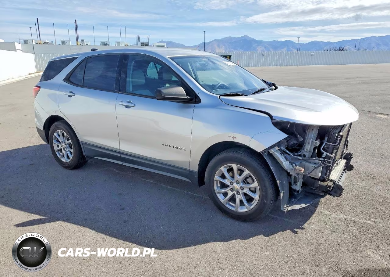 2019 Chevrolet Equinox Ls VIN:3GNAXHEV3KS635297 - 4