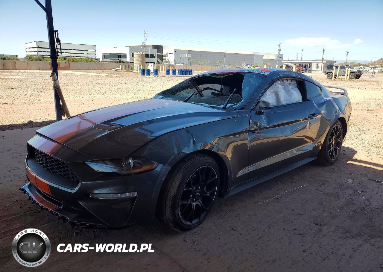 2019 Ford Mustang