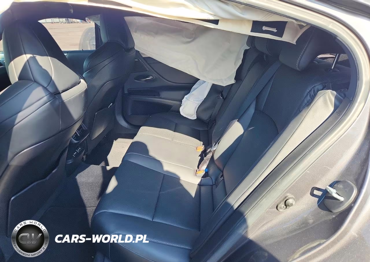 2023 Lexus Es 350 F Sport Handling VIN:58AJZ1B15PU156628 - 10