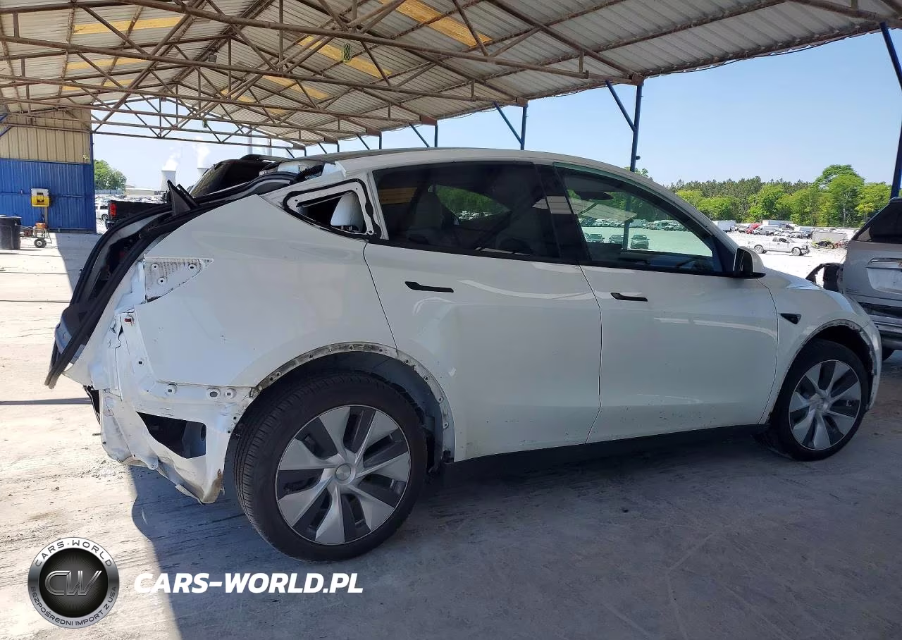 2023 Tesla Model Y VIN:7SAYGDEE6PF636317 - 3